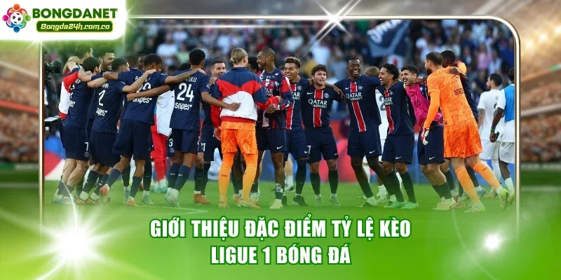 Giới thiệu đặc điểm tỷ lệ kèo Ligue 1 bóng đá